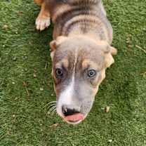 Thumbnail photo of Cari JuM #2