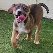 Thumbnail photo of Cari JuM #3