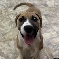 Thumbnail photo of Alpha #2