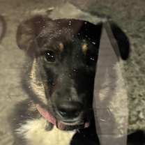 Thumbnail photo of Skathi #2