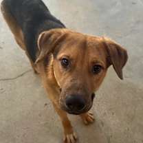 Thumbnail photo of Dennis #4