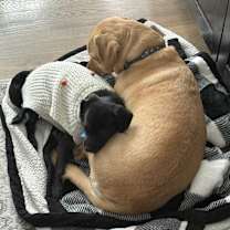 Thumbnail photo of Claus #3