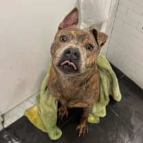 Thumbnail photo of Johnny #1