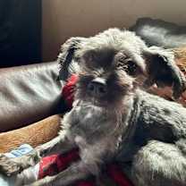 Thumbnail photo of Saint #1