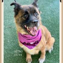 Thumbnail photo of ASTRO #4