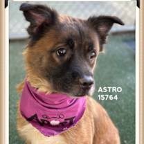 Thumbnail photo of ASTRO #1