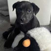 Thumbnail photo of Jingle #1