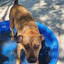 Thumbnail photo of Truly #3