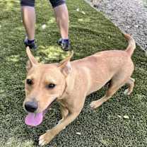 Thumbnail photo of Daisy #2