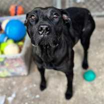 Thumbnail photo of Jovanna #3