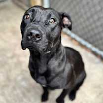 Thumbnail photo of Jovanna #4