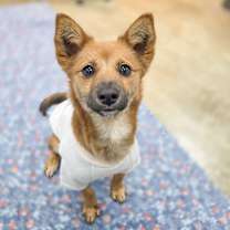 Thumbnail photo of Younga #4