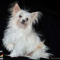 Thumbnail photo of Sebastian #1