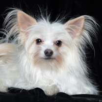 Thumbnail photo of Sebastian #2