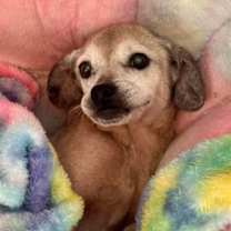 Thumbnail photo of Neema #3