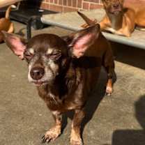 Thumbnail photo of Mr. Lucky #4