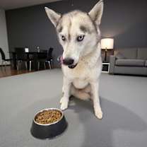 Thumbnail photo of Solomon SOS list #3