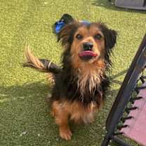 Thumbnail photo of Baymax #3