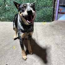 Thumbnail photo of 60026991 #2