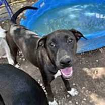 Thumbnail photo of Corina #2