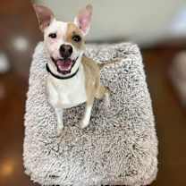 Thumbnail photo of Camp #1