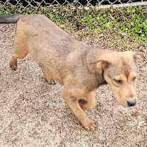 Thumbnail photo of Whimsy #2