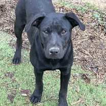 Thumbnail photo of Wilma #3