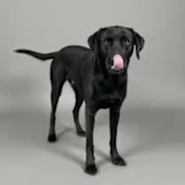 Thumbnail photo of Prince #4