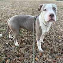 Thumbnail photo of Zoe #1