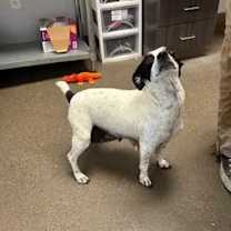 Thumbnail photo of Nora #1