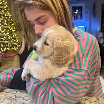 Thumbnail photo of Isabel Lilly Belle Pup #4