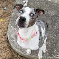 Thumbnail photo of Mama Roz #1