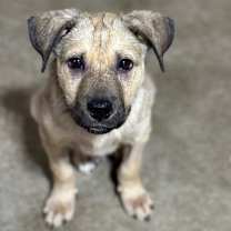 Thumbnail photo of Willy #2