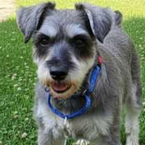 Thumbnail photo of Malcom #3