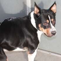 Thumbnail photo of Duncan #2