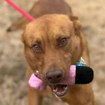 Thumbnail photo of Franklin #4