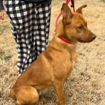 Thumbnail photo of Franklin #3