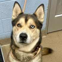 Thumbnail photo of Rizzo #2