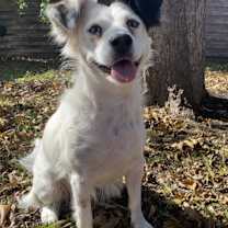 Thumbnail photo of Winter #2