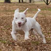 Thumbnail photo of Marty #1