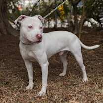 Thumbnail photo of Marty #3