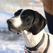 Thumbnail photo of Max #2