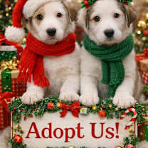 Thumbnail photo of Hudson #3