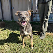 Thumbnail photo of Zola #1