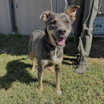 Thumbnail photo of Zola #2