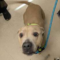 Thumbnail photo of Brown Butter #2