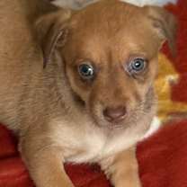 Thumbnail photo of Claire 21980 #1