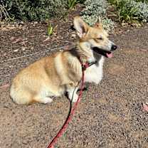 Thumbnail photo of Mayhem #1