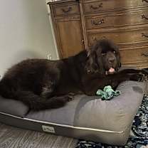 Thumbnail photo of Donny #2