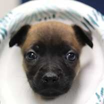 Thumbnail photo of Glitter #1